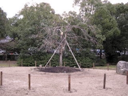 井上修造園・事業所案内